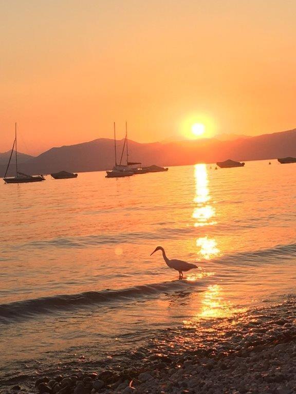 Olivenblatt 4 Daire Bardolino Dış mekan fotoğraf