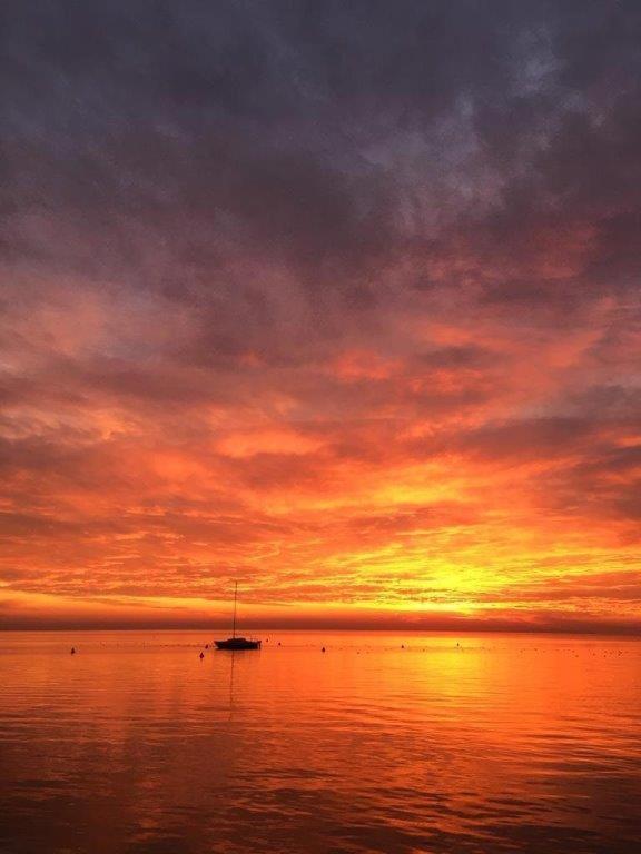 Olivenblatt 4 Daire Bardolino Dış mekan fotoğraf